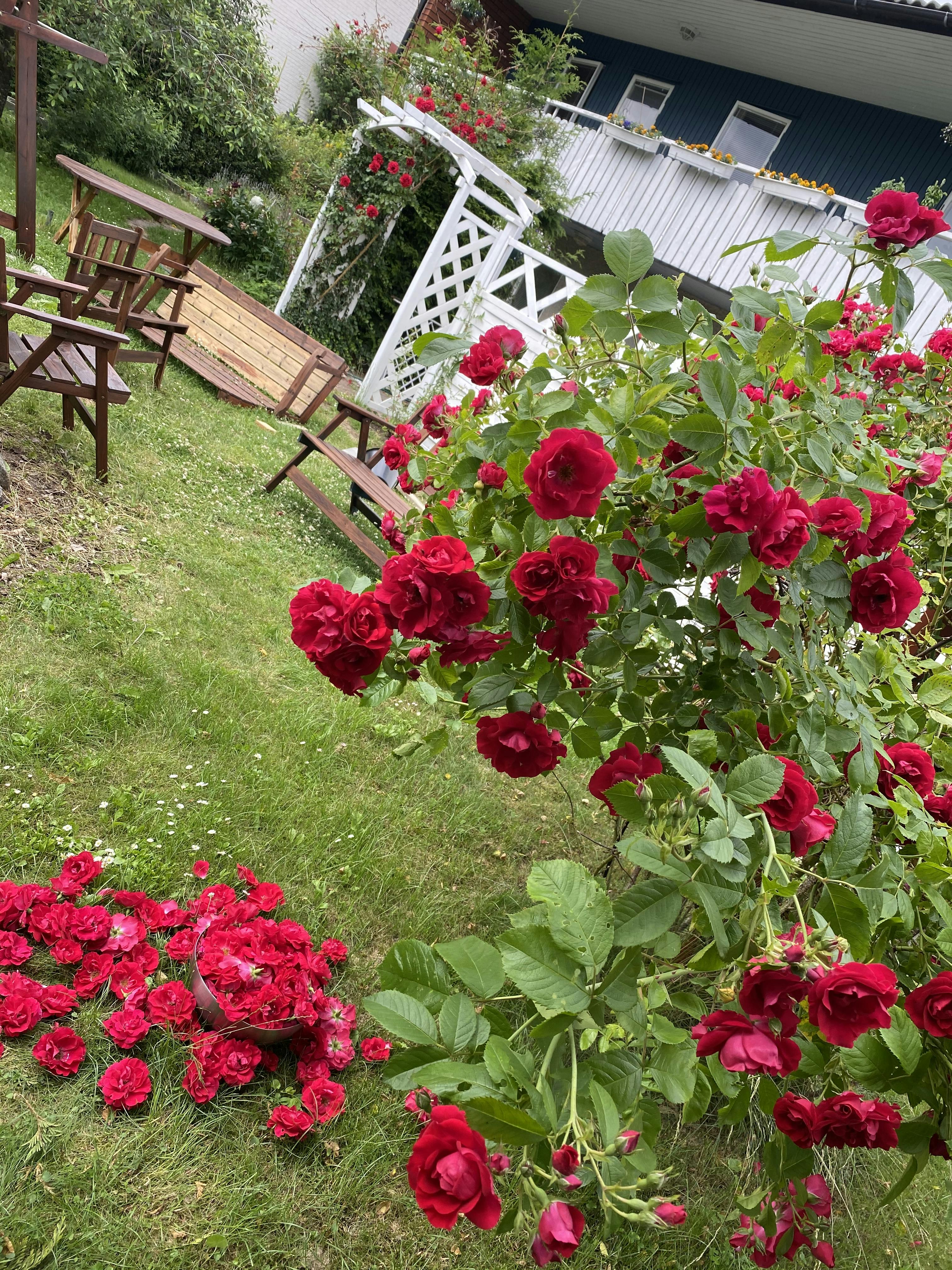 WG-Zimmer zu mieten für 5.879 SEK pro Monat in Jakobsberg, Aftonvägen