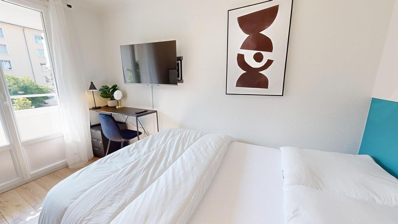 Private room for rent on Rue des Roses, Lyon – pohled 3