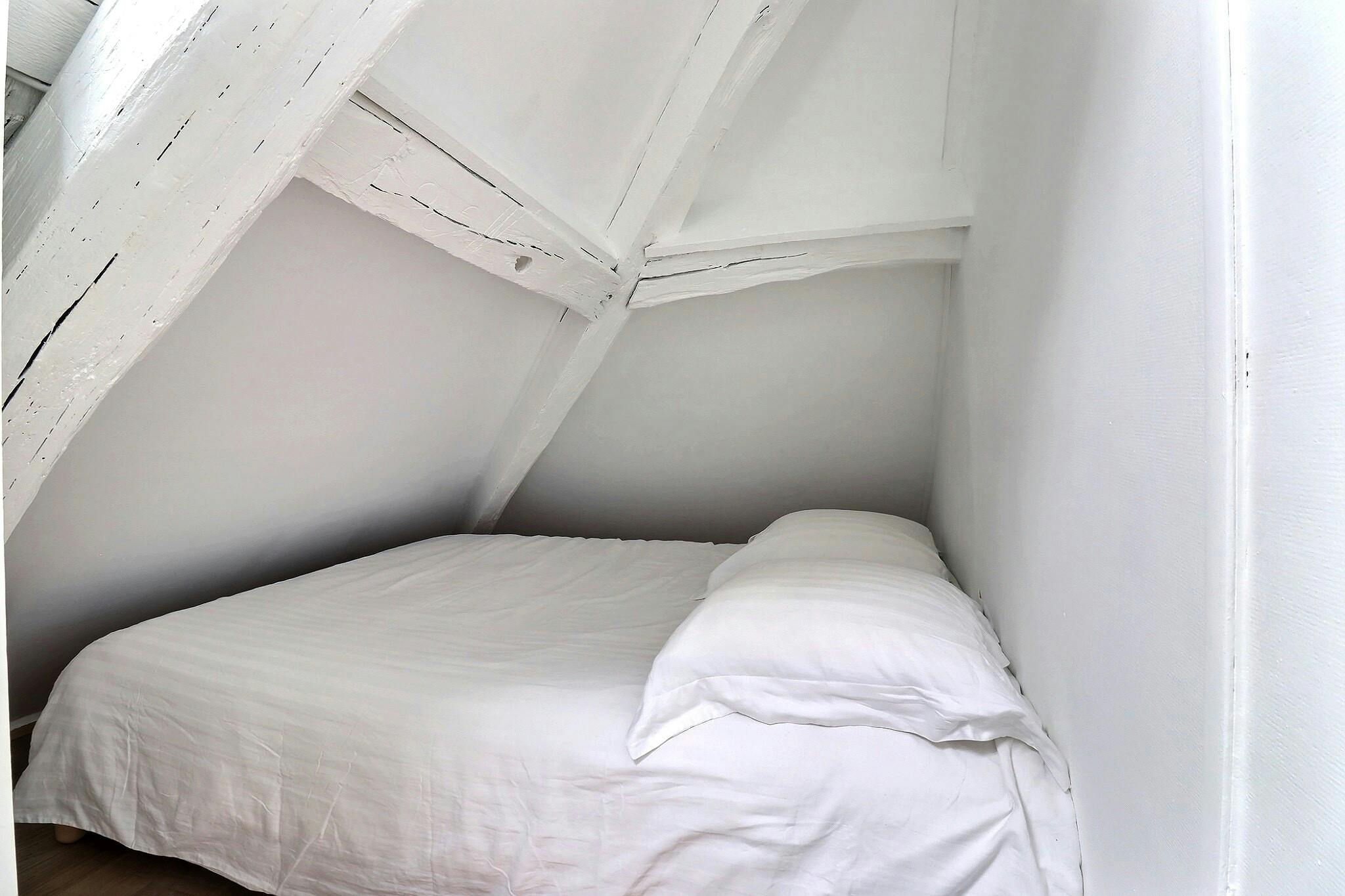 1-Bedroom Apartment in Rue Jean-Pierre Timbaud, Paris (1548263) ROOM 1