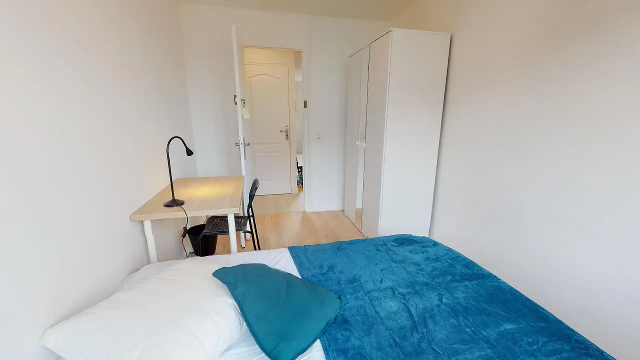 Private room in Cours Émile Zola, Villeurbanne (1548670) ROOM 1