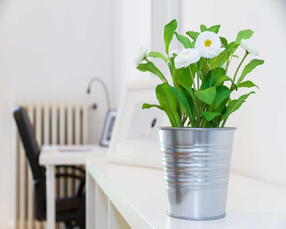 Viale Renato Serra, Milan preview