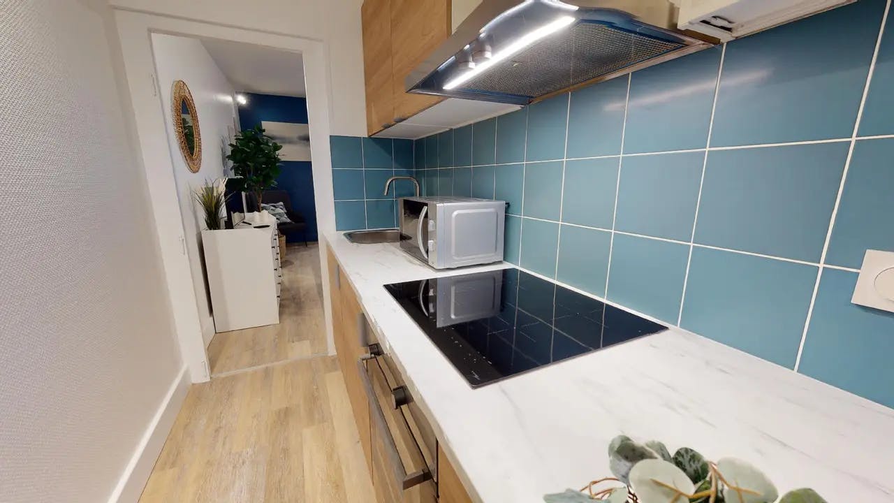 1-Bedroom Apartment in Cours Suchet, Lyon (1549261) room image 7