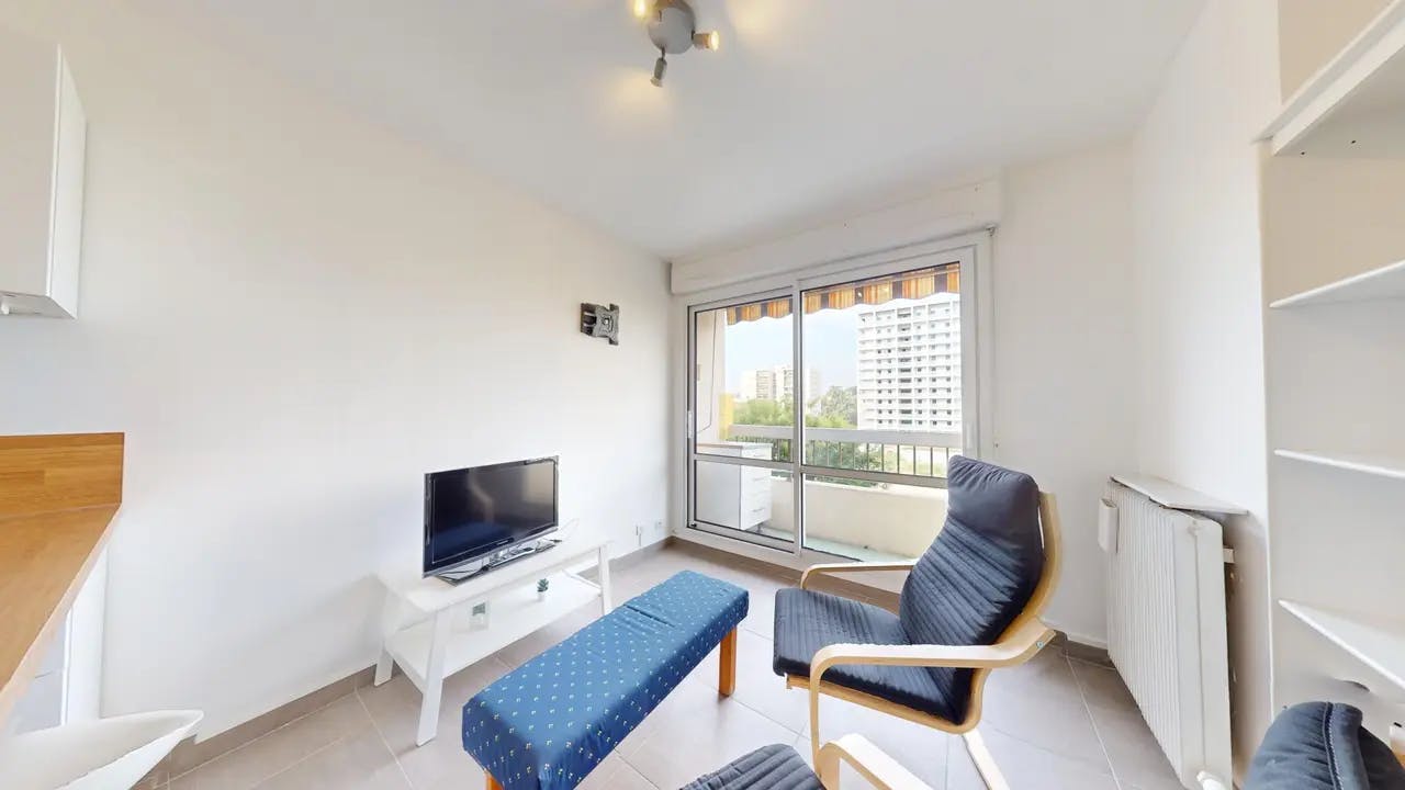 1-Bedroom Apartment in Rue du 1er Mars 1943, Villeurbanne (1550403) ROOM 4