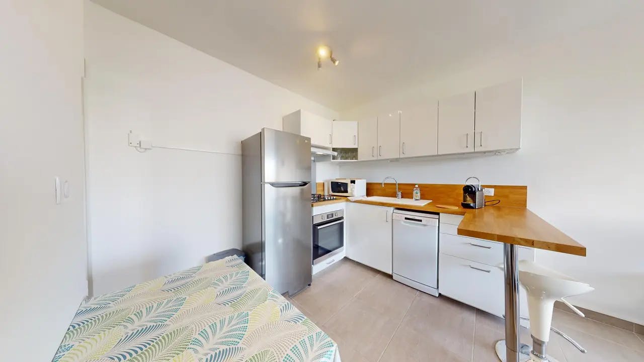 1-Bedroom Apartment in Rue du 1er Mars 1943, Villeurbanne (1550403) ROOM 2