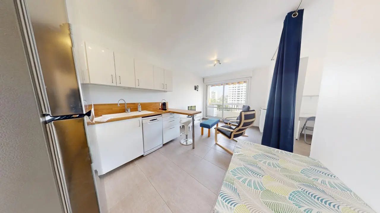 1-Bedroom Apartment in Rue du 1er Mars 1943, Villeurbanne (1550403) ROOM 1