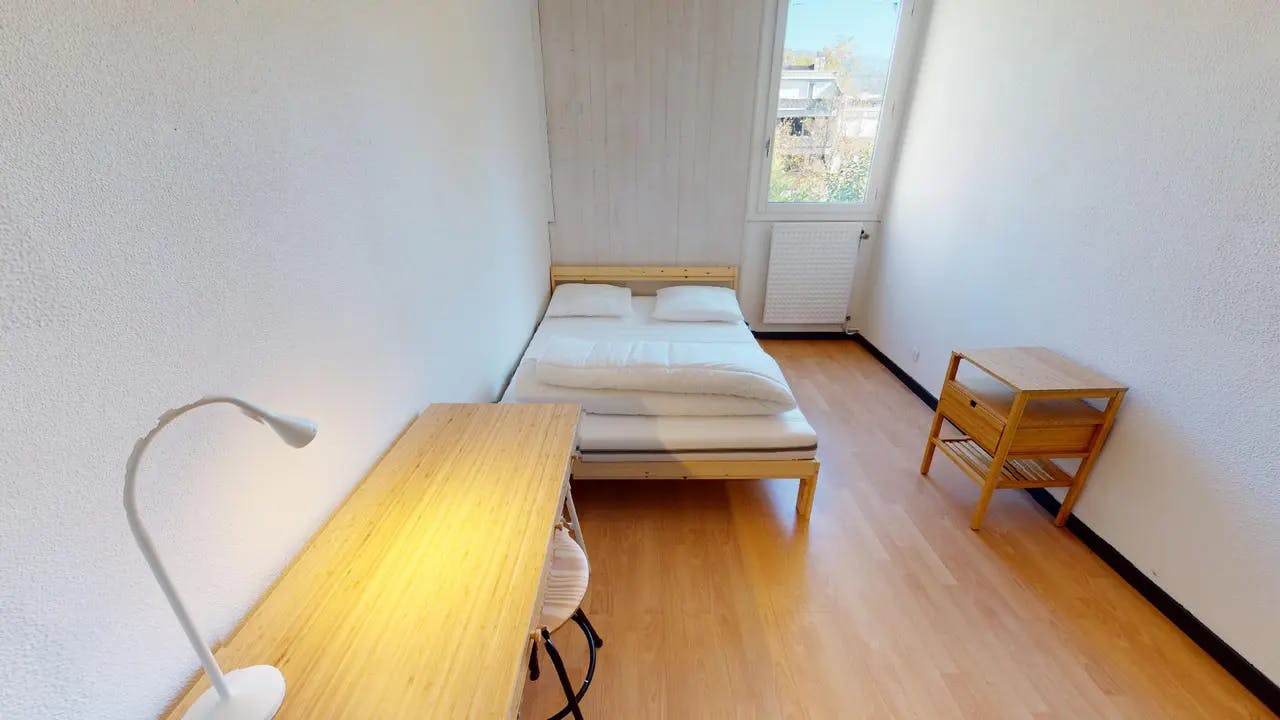 Private room in Place des Géants, Grenoble (1551159) room image 2