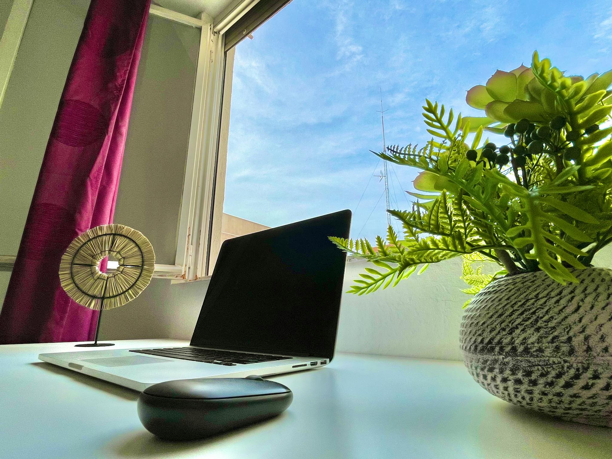 Calle Manuel de Falla, San Vicent del Raspeig preview