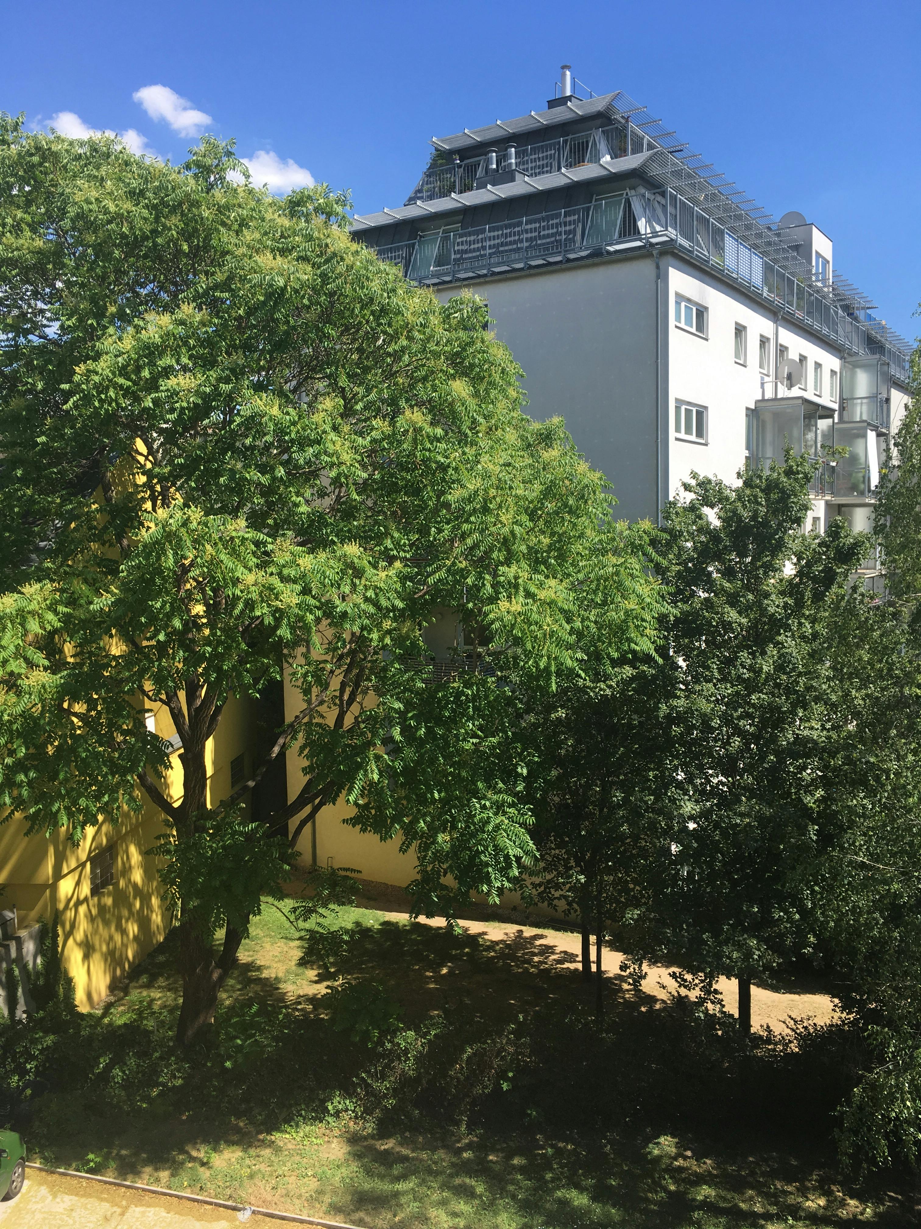 Apartment Vienna — photo 25