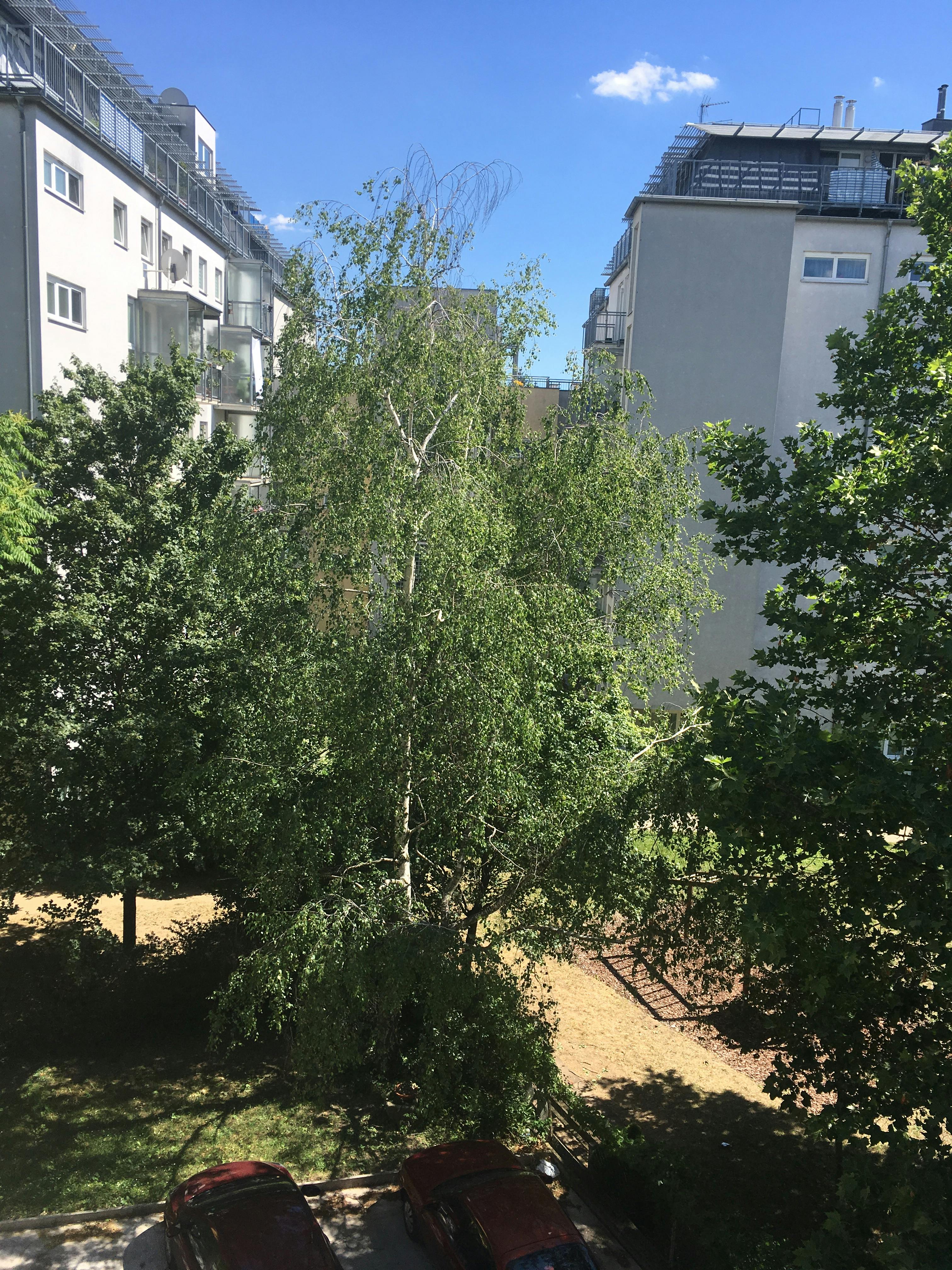 Apartment Vienna — photo 28