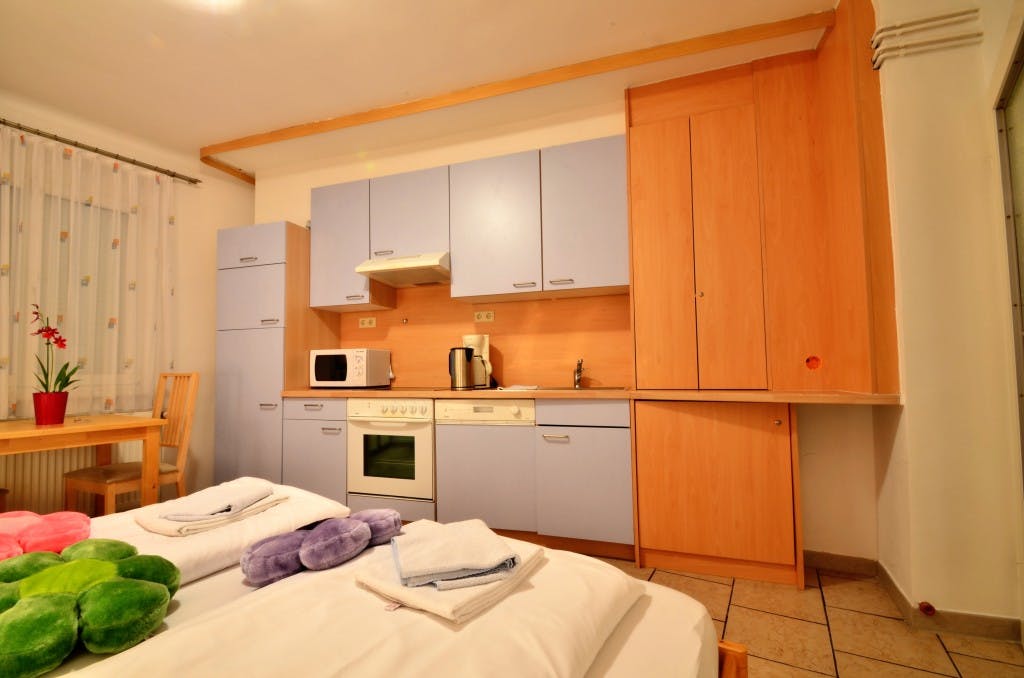 Apartment Vienna — photo 4