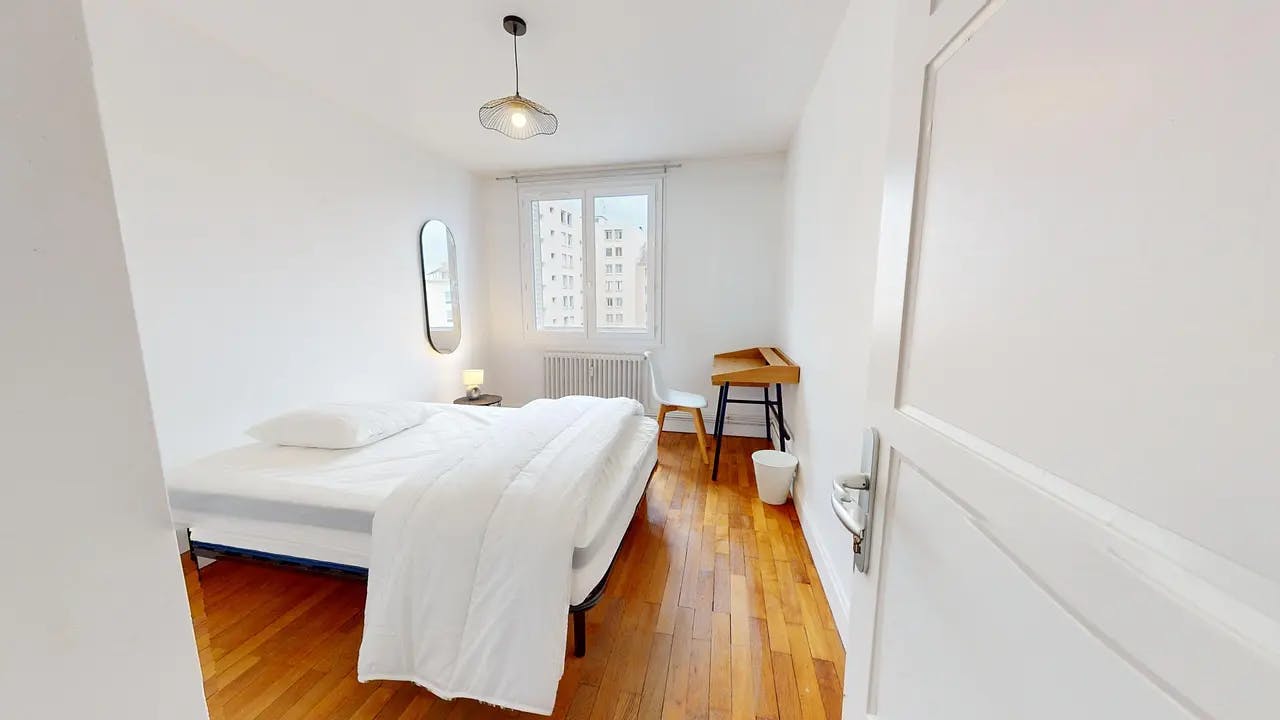 Single room Villeurbanne, 1 bed, 11m² — photo 13