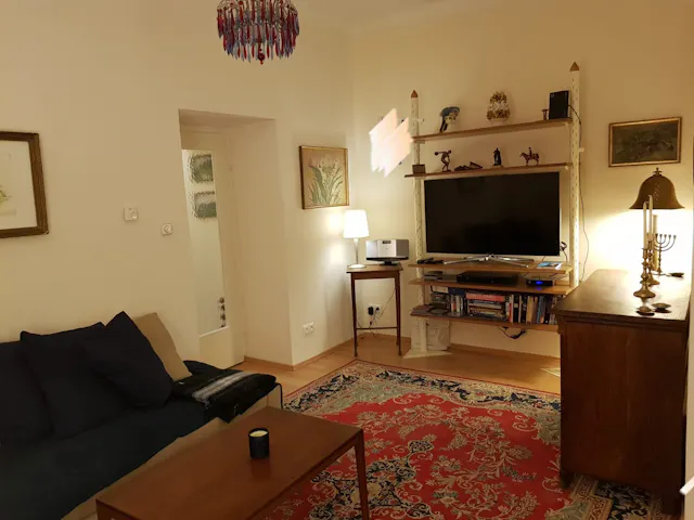 1-Bedroom Apartment in Skodagasse, Vienna (1553490) room image 2