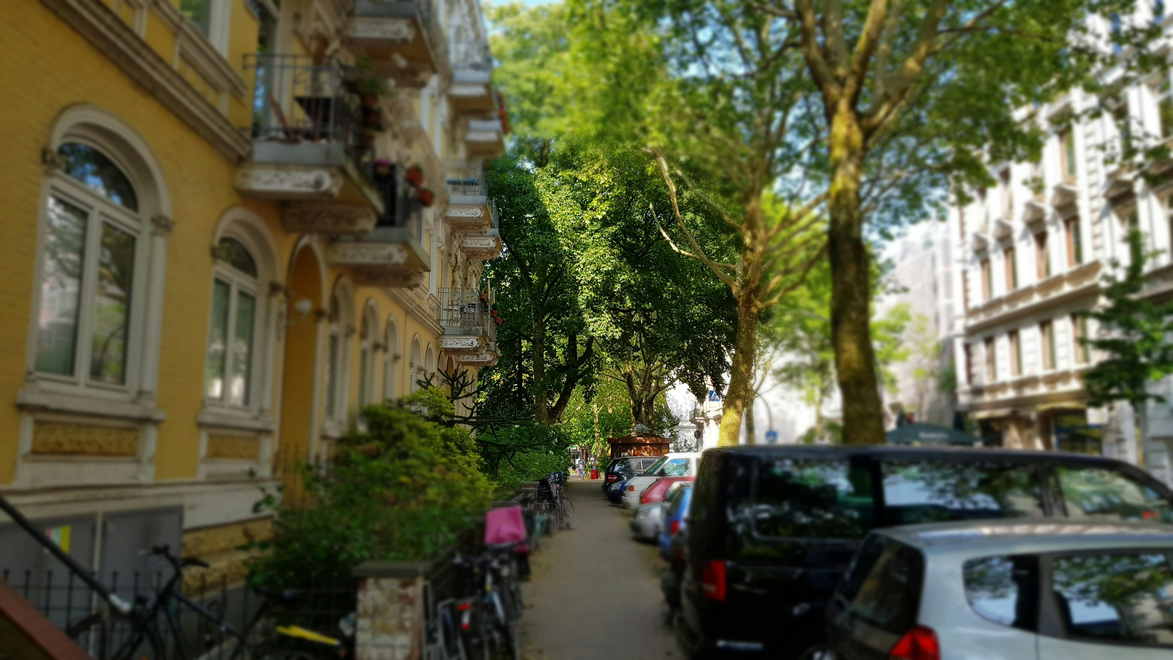 preview gallery tile