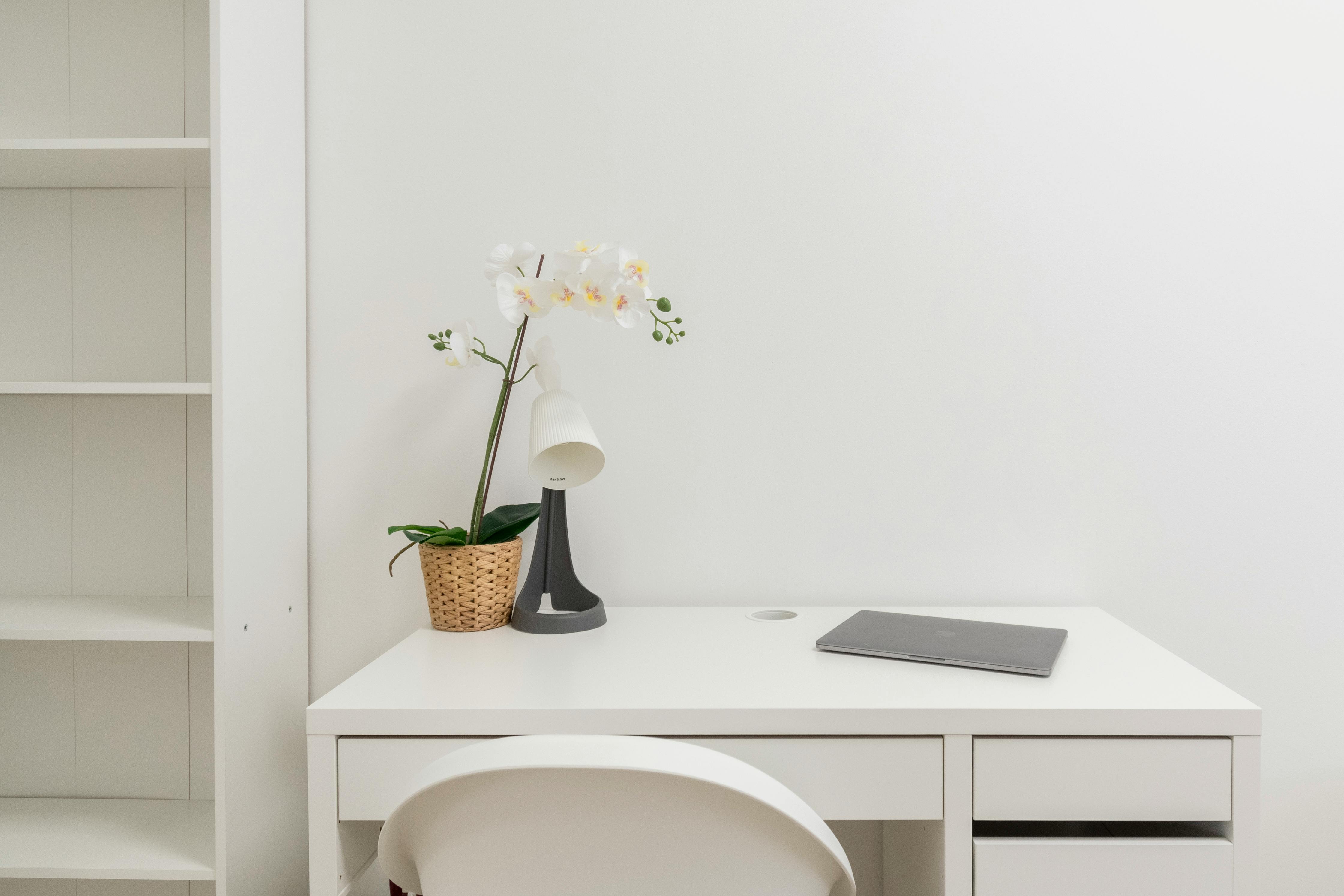 Single room Turin, 1 bed, 10m² — photo 10