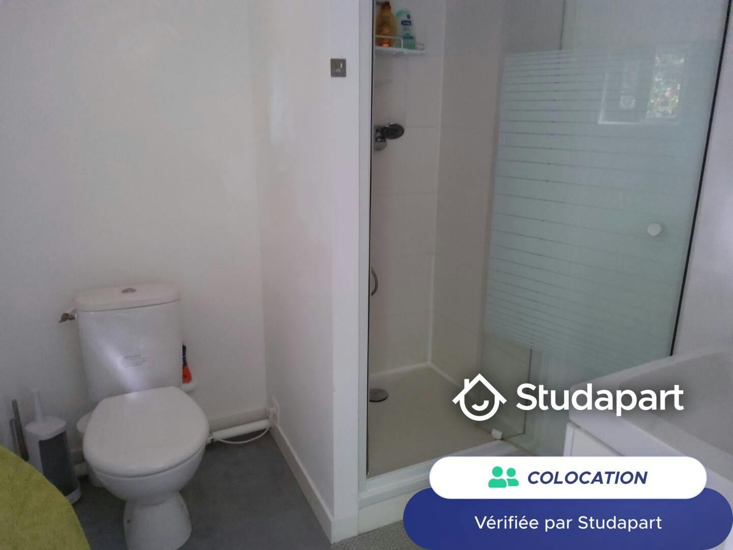 Private room for rent on Rue de l'École Normale, Bordeaux - Vue 5