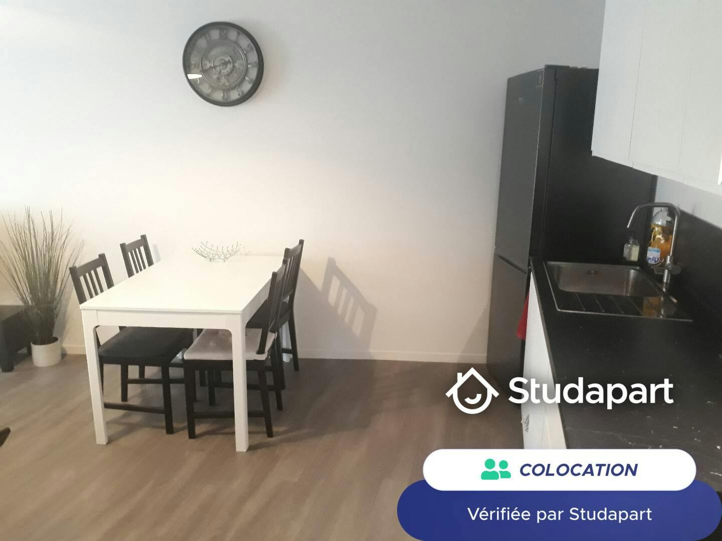 Private room for rent on Chemin de la Pierre Percée, Nantes - Plus