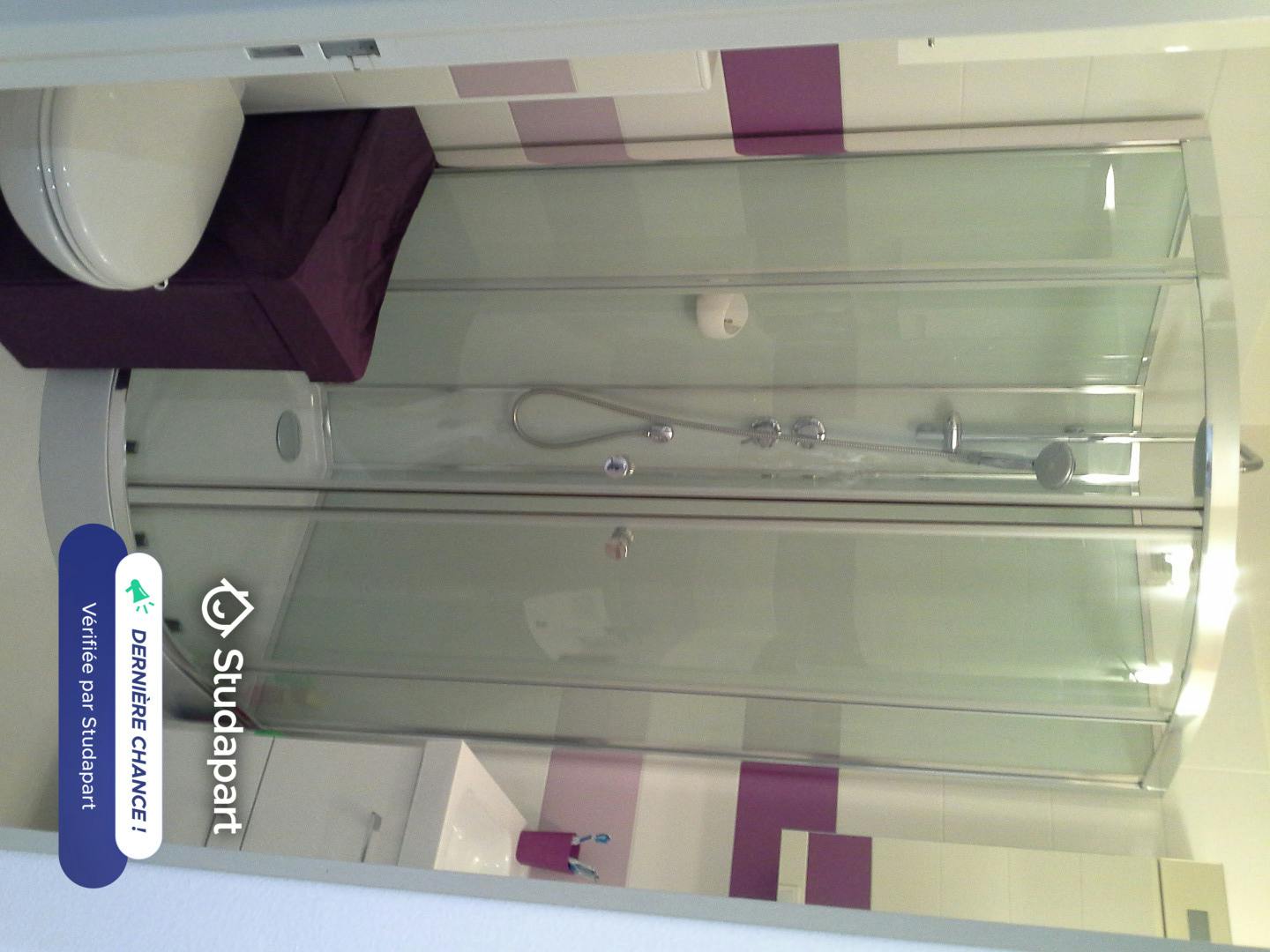 Apartment for rent on Rue Crozet-Boussingault, Saint-Étienne – pohled 6