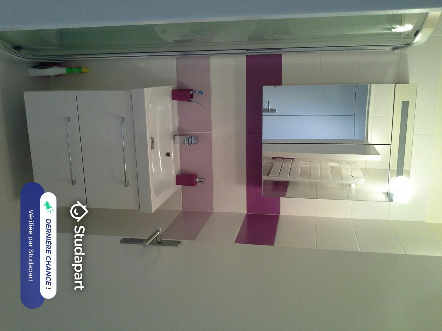 Apartment for rent on Rue Crozet-Boussingault, Saint-Étienne – pohled 5