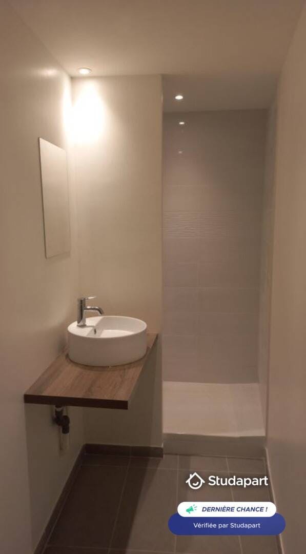 Apartment for rent on Rue de Trion, Lyon - Widok 3