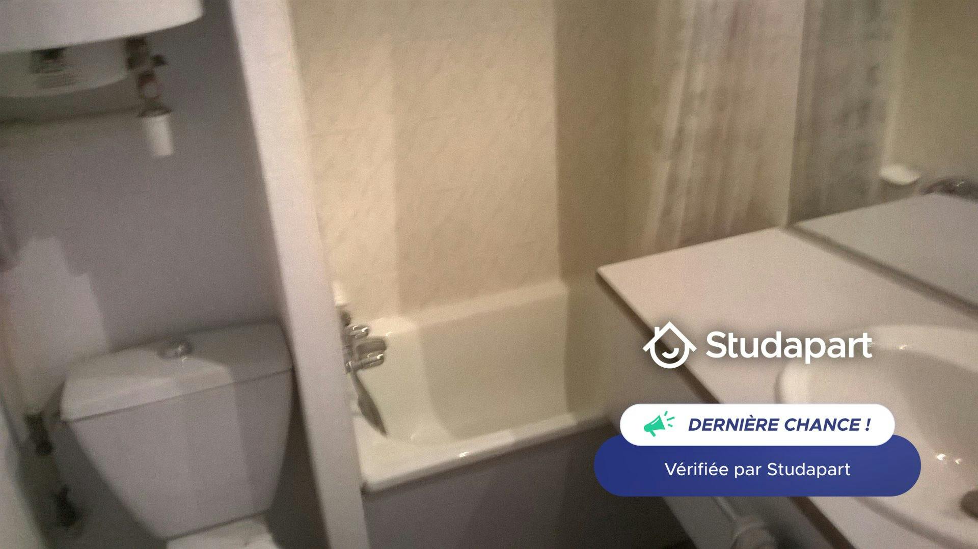 Apartment for rent on Rue Saint-Michel, Lyon - Ansicht 6