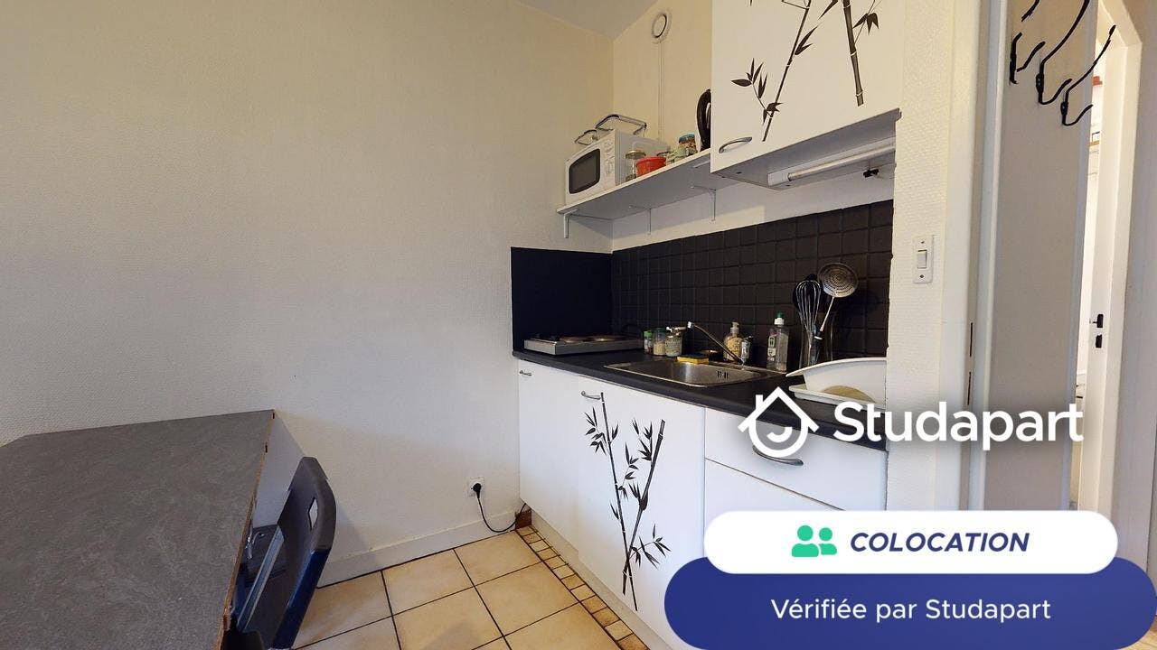 Private room for rent on Cours Fauriel, Saint-Étienne – pohled 3