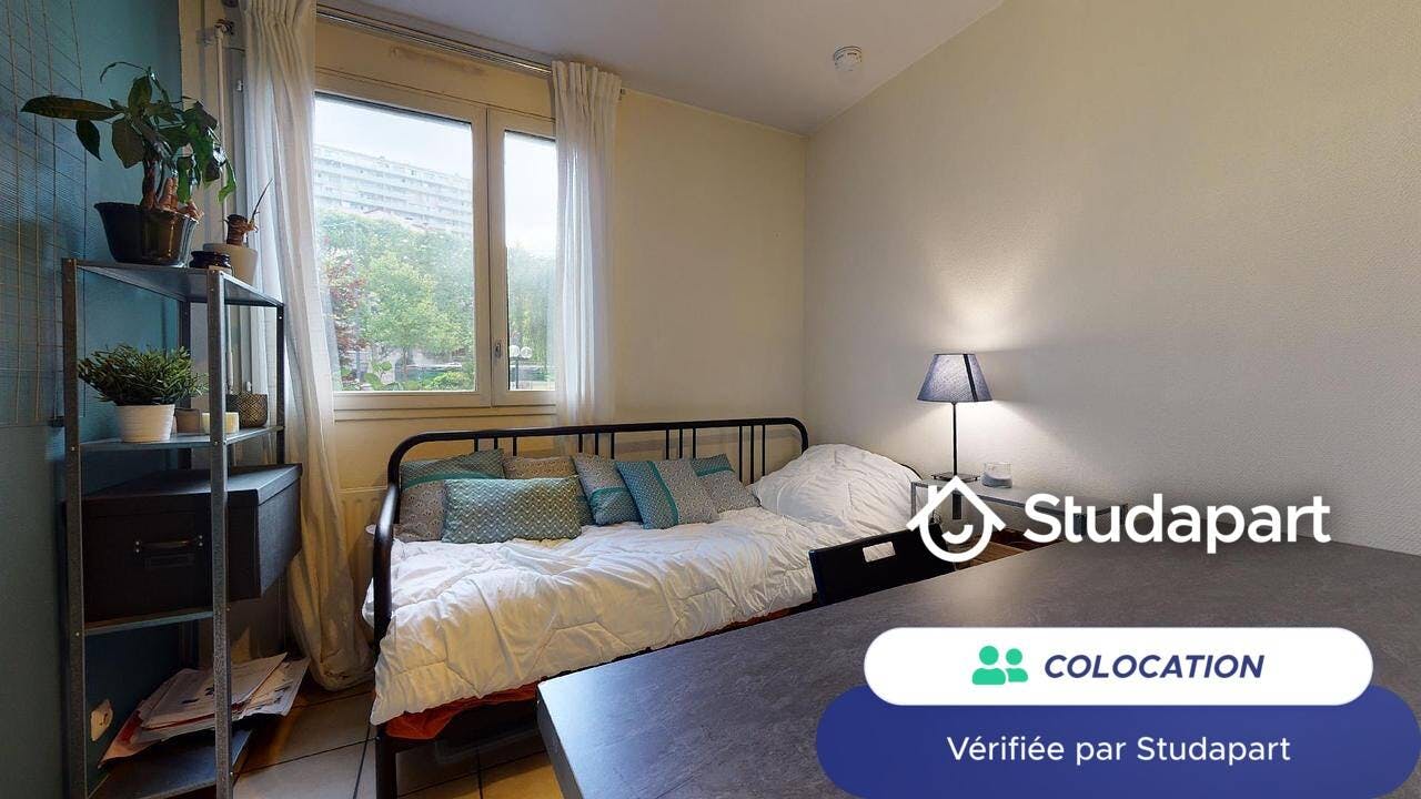 Private room for rent on Cours Fauriel, Saint-Étienne – pohled 5