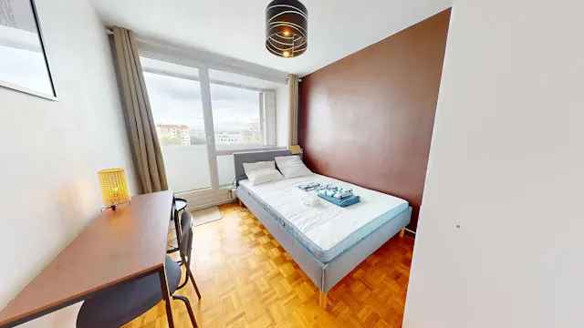 Private room in Cours Émile Zola, Villeurbanne (1556982) room image 2
