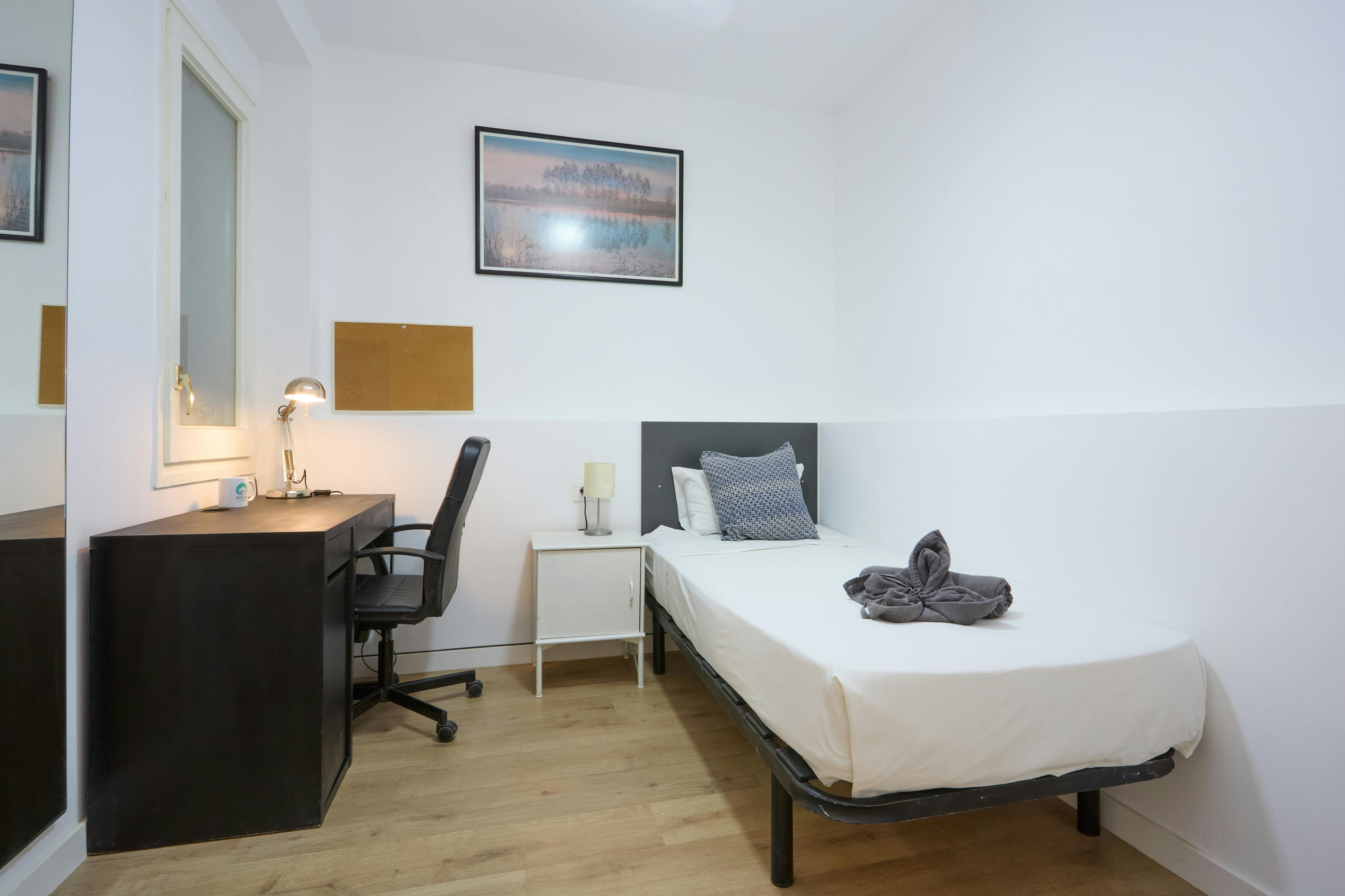 Private room for rent for €699 per month in Barcelona, Avinguda de la República Argentina