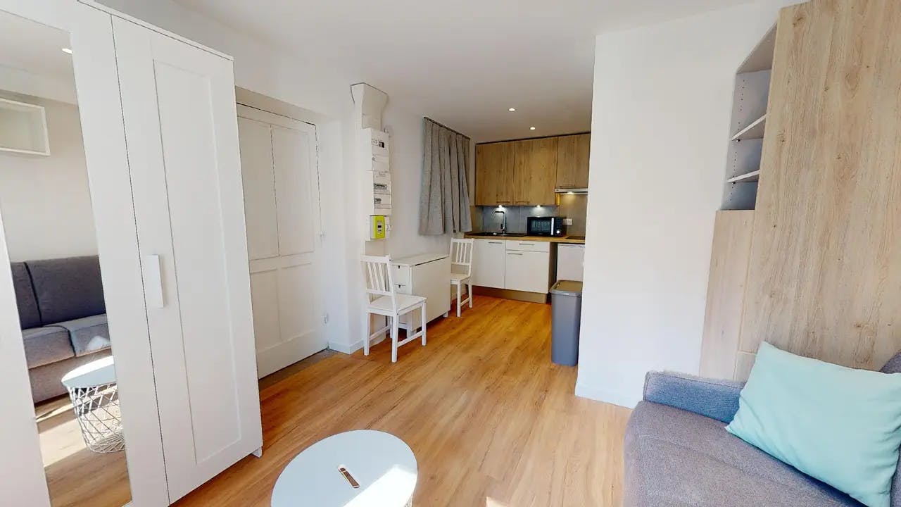 Apartment in Rue Alexandre Boutin, Villeurbanne (1557709) ROOM 1