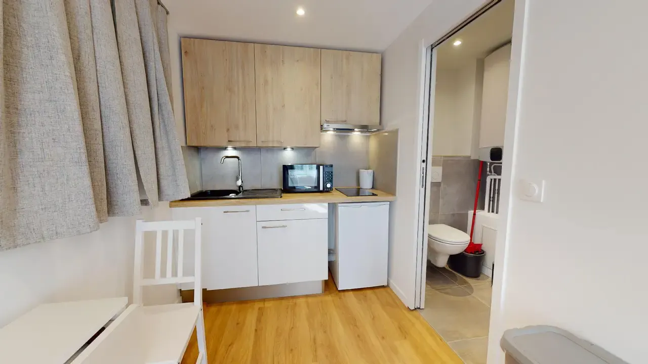 Apartment in Rue Alexandre Boutin, Villeurbanne (1557709) ROOM 2