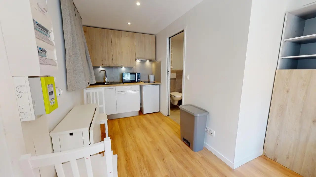 Apartment in Rue Alexandre Boutin, Villeurbanne (1557709) ROOM 3