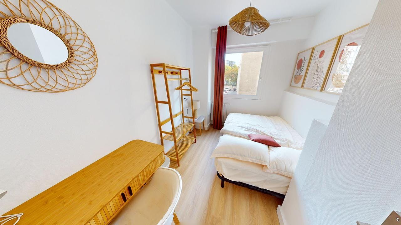 Private room for rent on Rue Paul Cazeneuve, Lyon – pohled 4