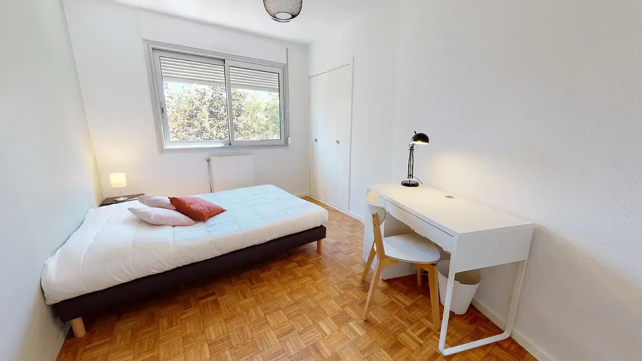 Private room in Rue des Peupliers, Villeurbanne (1558798) ROOM 1