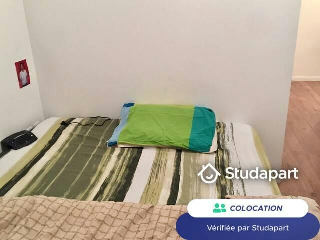 Private room for rent on Rue Louis, Lyon - Vue 4