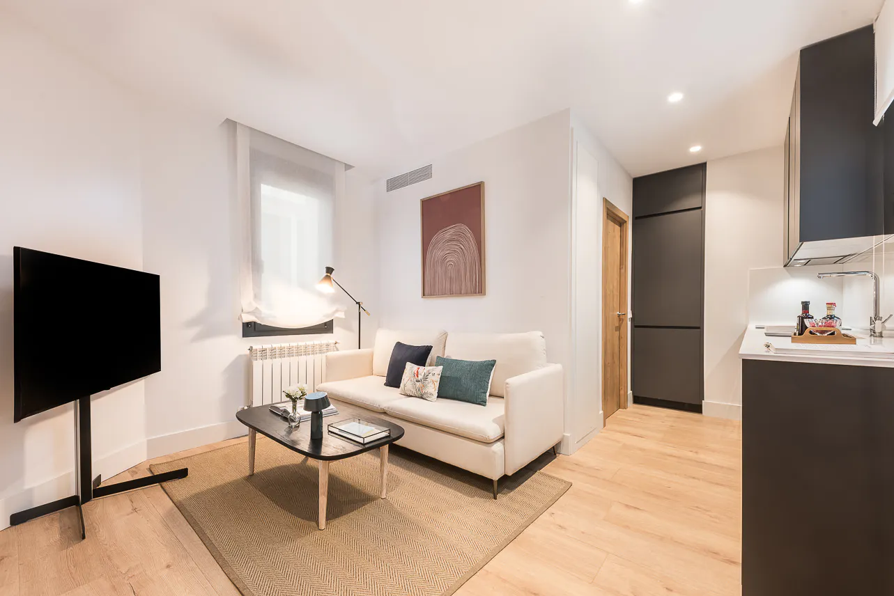 1-Bedroom Apartment in Calle Doctor Castelo, Madrid (1559679) ROOM 1