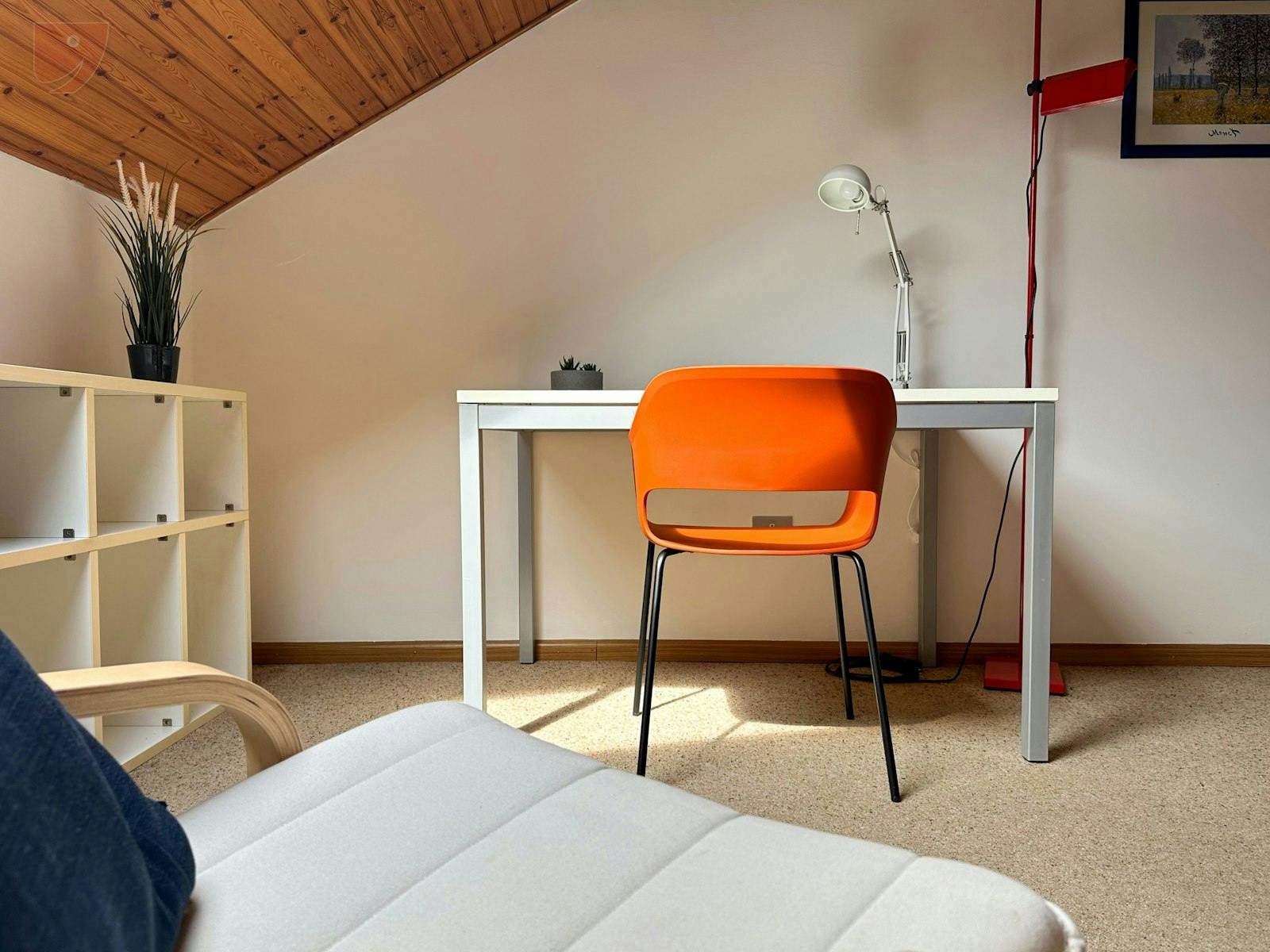 Single room Trento, 1 bed, 15m² — photo 19