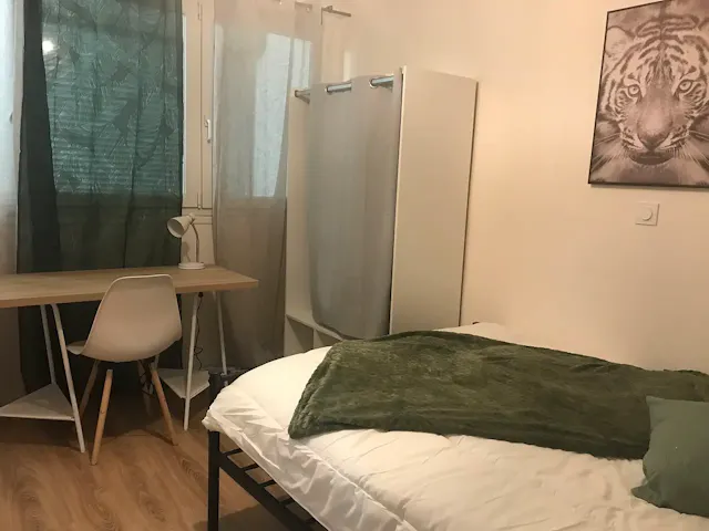 Private room in Rue de la Faourette, Toulouse (1562196) room image 1