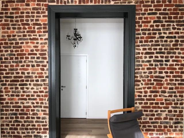 1-Bedroom Apartment in Rue Théodore Verhaegen, Saint-Gilles (1562198) room image 1