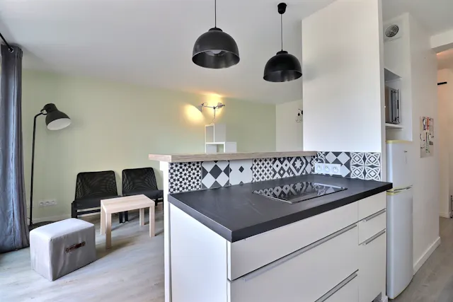 1-Bedroom Apartment in Rue de la Croix Nivert, Paris (1562297) room image 10