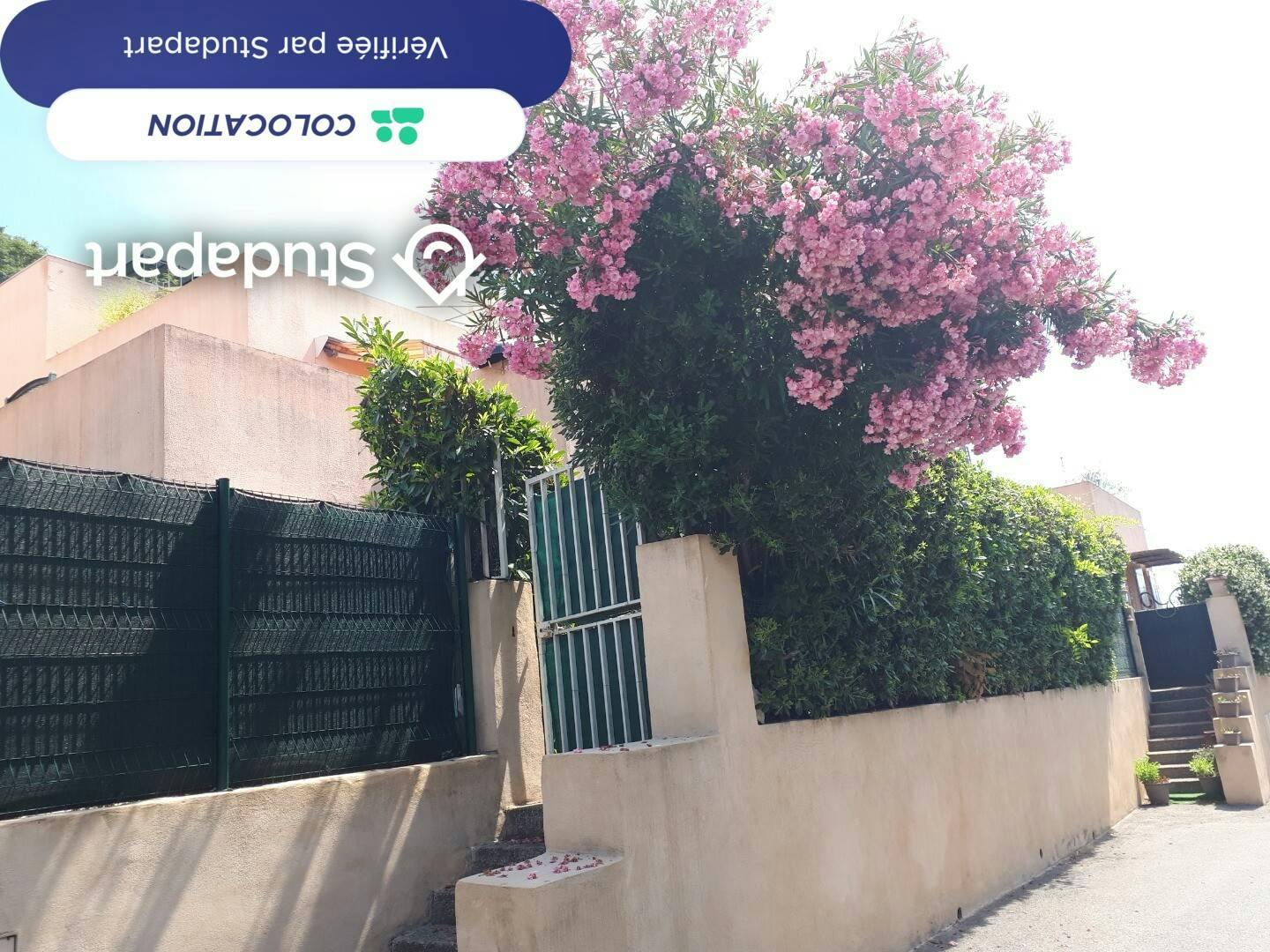 Private room for rent on Ruelle des Amoureux, Valbonne - Vue 4