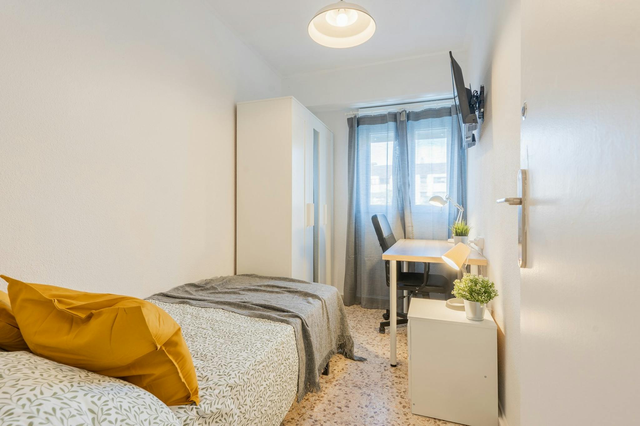 Avinguda de Blasco Ibáñez, Valencia preview