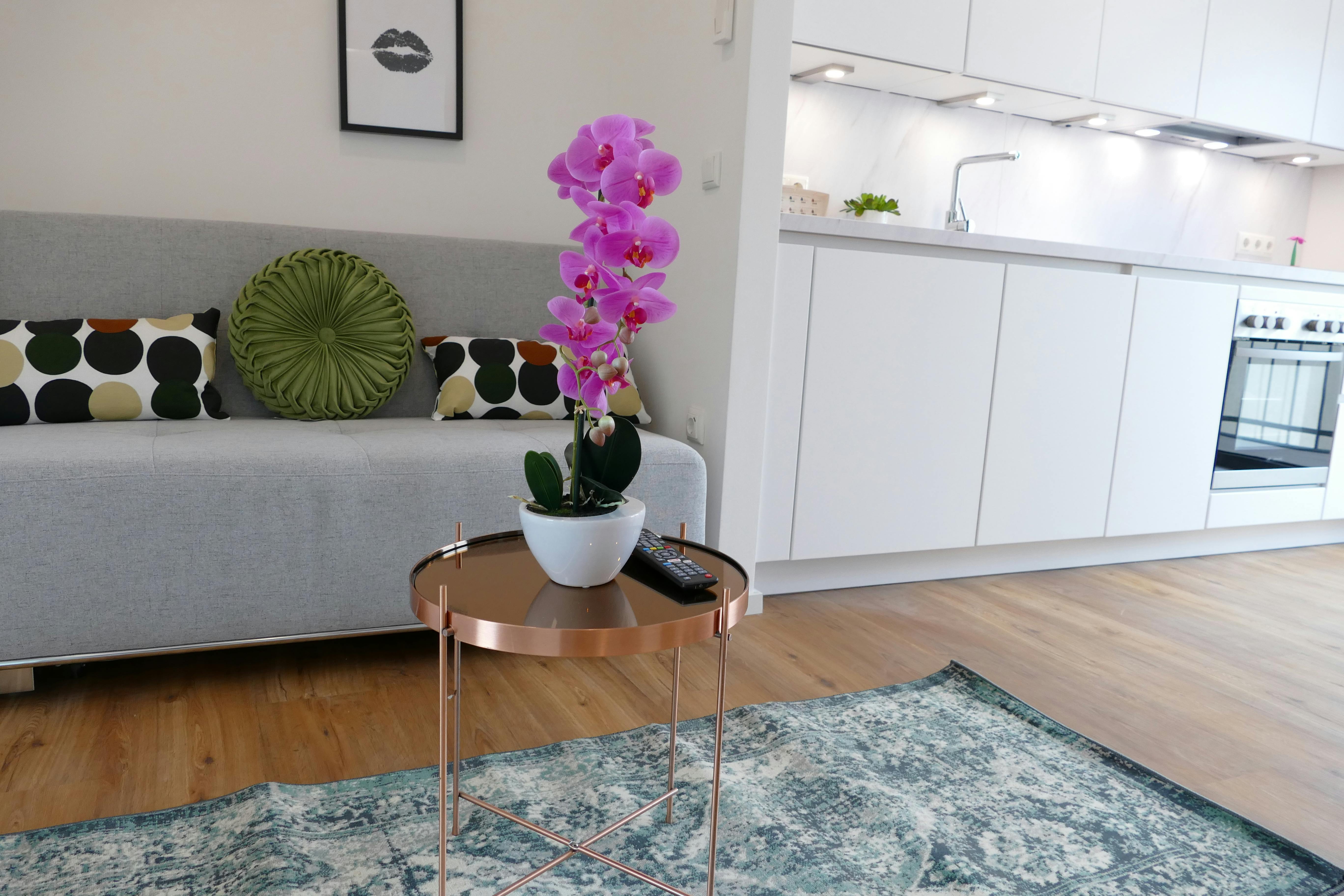 Vorgartenstraße, Vienna preview