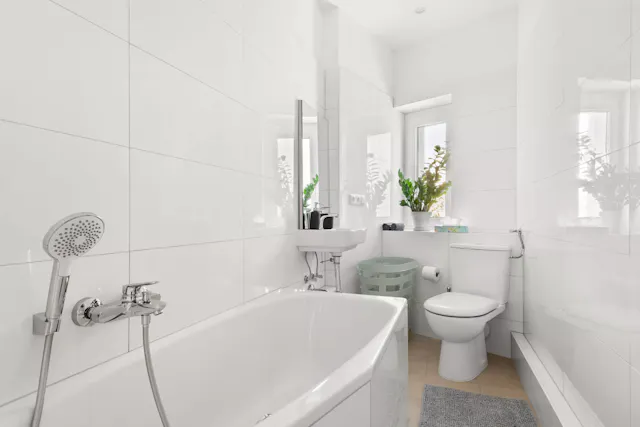 1-Bedroom Apartment in Framstraße, Berlin (1563705) room image 2