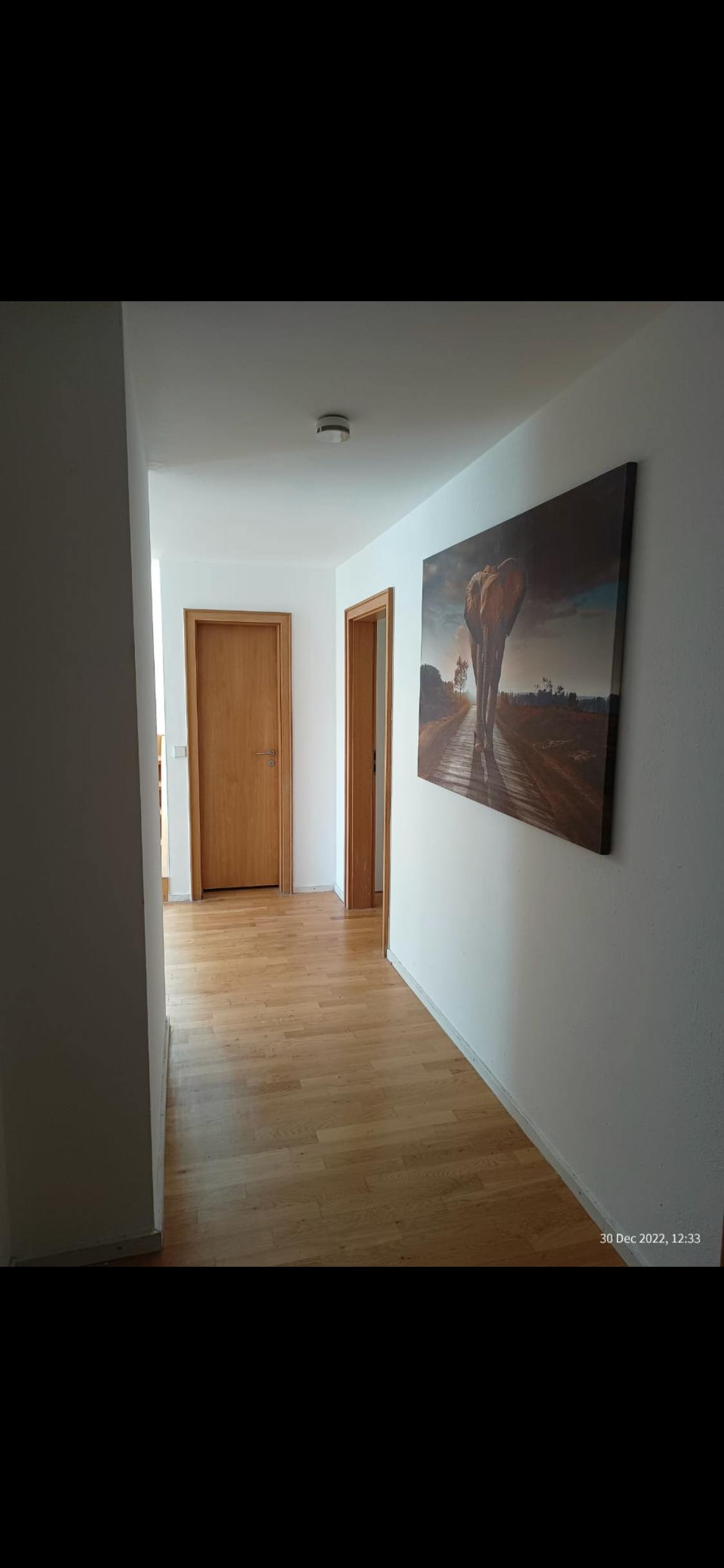 Single room Dachau, 1 bed, 9m² — photo 7