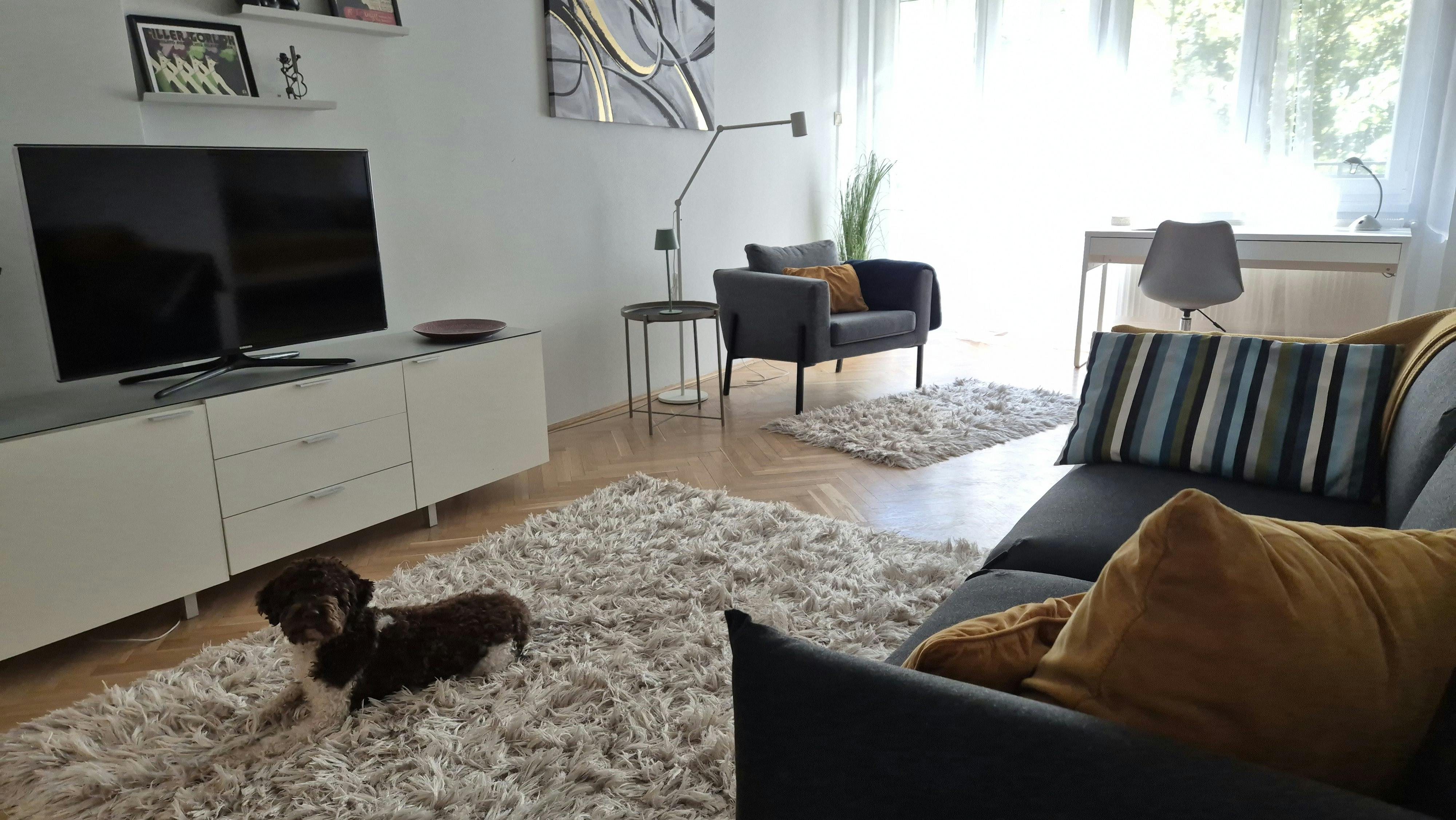 Apartment Budapest, 1 bed — photo 3