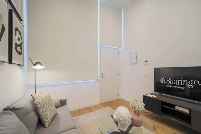 1-Bedroom Apartment in Calle de Mantuano, Madrid (1566680) room image 2
