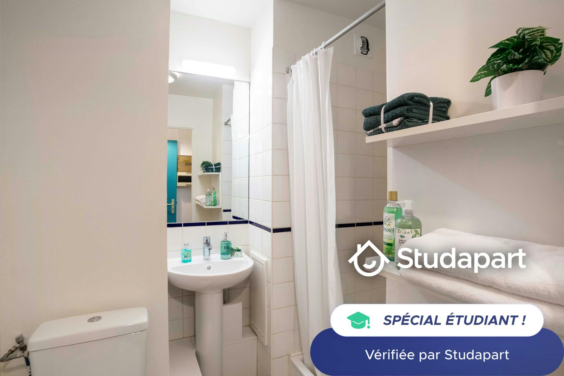 Private room for rent for €517 per month in Strasbourg, Rue de Londres