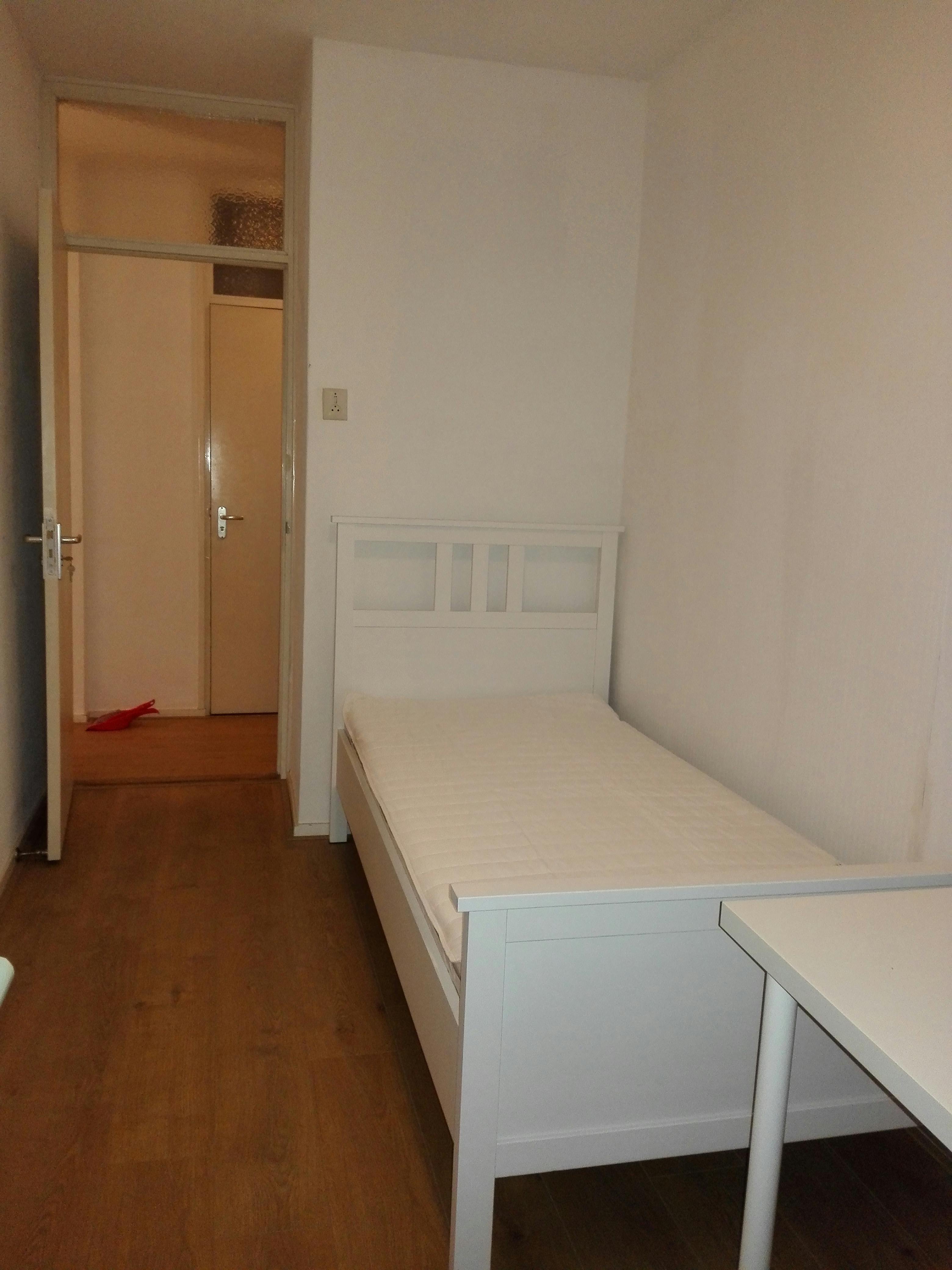 Private room in Blondeelstraat, Rotterdam (1569535) room image 1