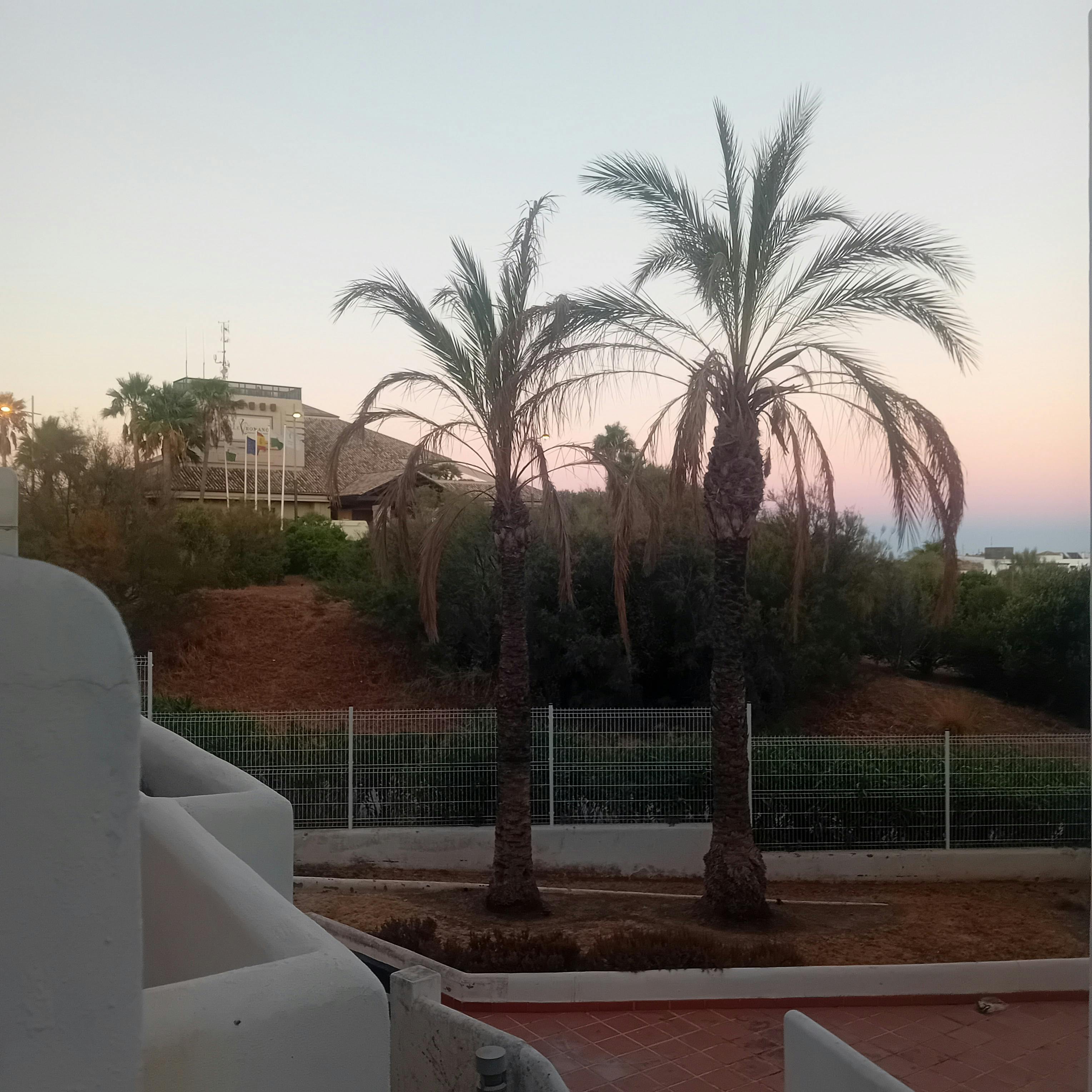 Cameră privată de închiriat pentru 785 EUR pe lună în Málaga, Calle Villa Borghese