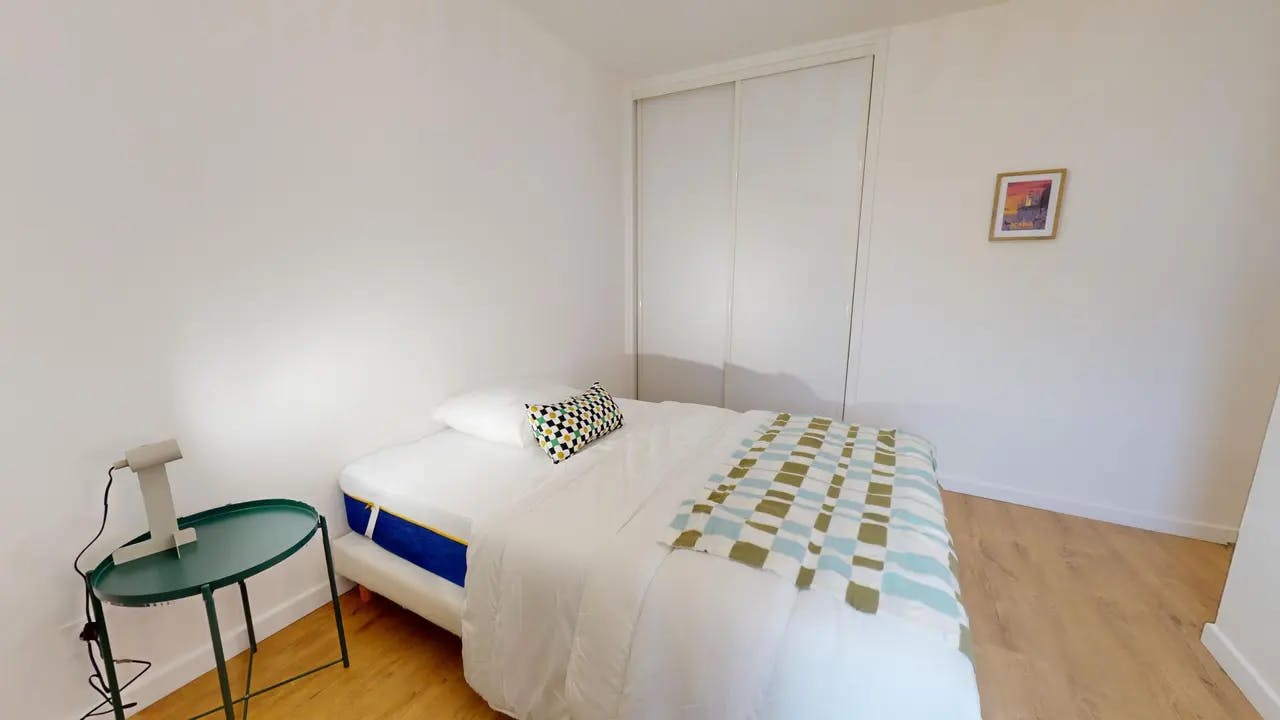 Private room in Rue Jean Sarrazin, Lyon (1569857) room image 1